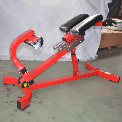 Adjustable Roman Bench - RFA | Functional Training - Gym - Total View