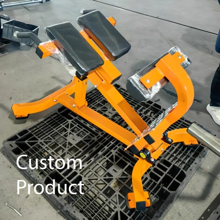 Adjustable Roman Bench - RFA | Functional Training - Gym - Visual Custom Product