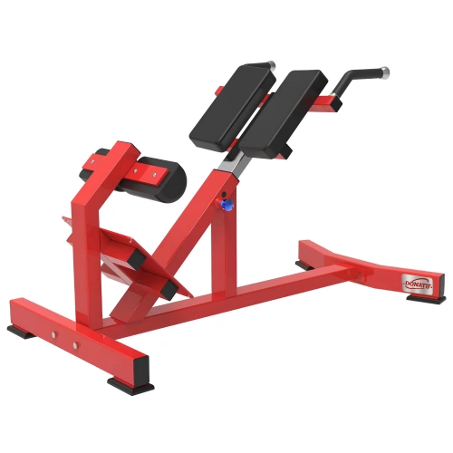 Extensión Trasera - RFA | Entrenamiento funcional - Gimnasio - Vista lateral