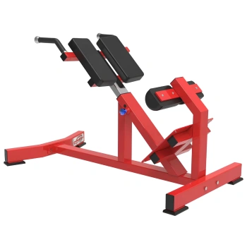 Back Extension - RFA | Functional Training - Gym - Full Equipment View