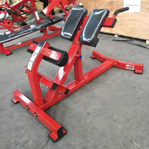 Extensión Trasera - RFA | Entrenamiento funcional - Gimnasio - Visión del uso