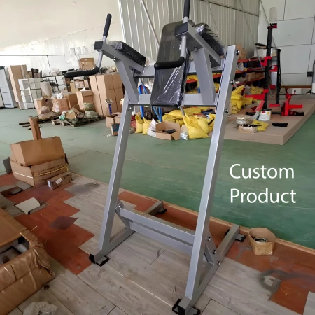 Vertical Knee Raise Machine - RFA | Allenamento Funzionale - Visuale Personalizzazione