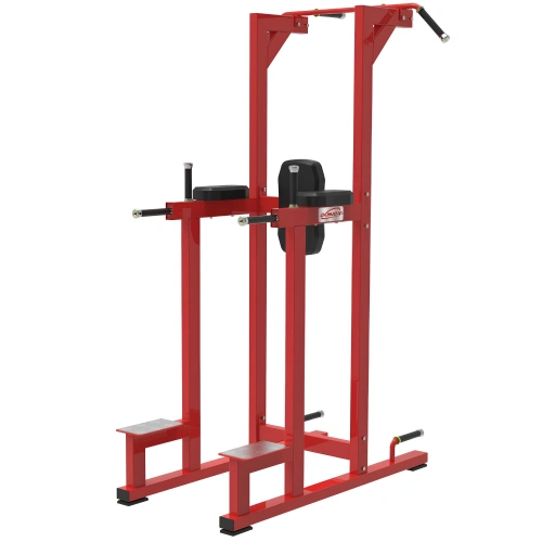 Dip And Pull Up Station - RFA | Funktionale Ausbildung – Seitenansicht