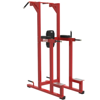 Dip And Pull Up Station - RFA | Functional Training - Full View of the Equipment