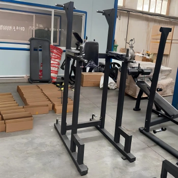 Dip And Pull Up Station - RFA | Funktionale Ausbildung – Vollständiger Überblick über die Ausrüstung 2