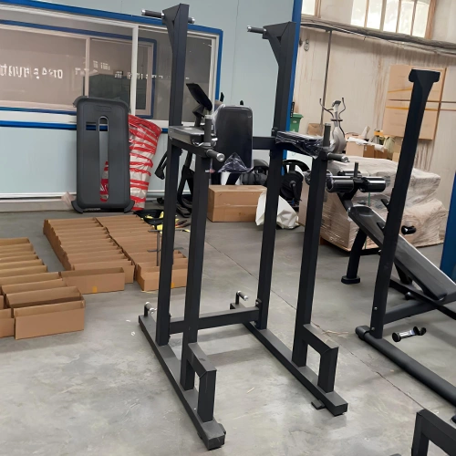 Dip And Pull Up Station - RFA | Funktionale Ausbildung – Gesamtübersicht