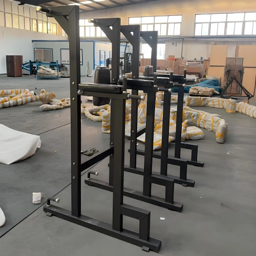 Dip And Pull Up Station - RFA | Funktionale Ausbildung – Visuelle Nutzung