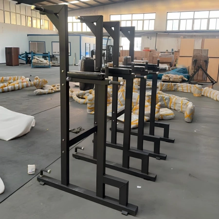 Dip And Pull Up Station - RFA | Funktionale Ausbildung – Visuelle Nutzung