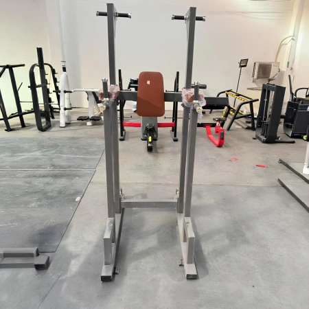 Dip And Pull Up Station - RFA | Funktionales Training – Anpassungsansicht