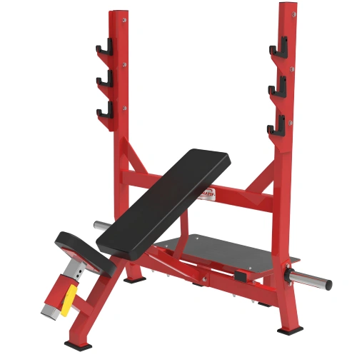 Incline Press - RFA | Allenamento Funzionale -...