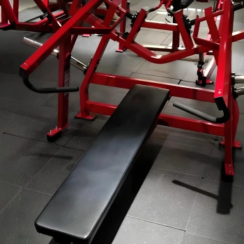 Laydown Chest Press – RFA | Funktionelles Training – Fitnessstudio – vollständige Geräteansicht 2