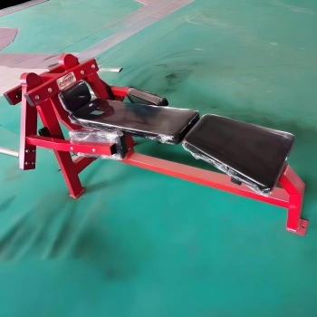 Laydown Pec Fly - RFA | Functional Training - Gym - Full Equipment View 2