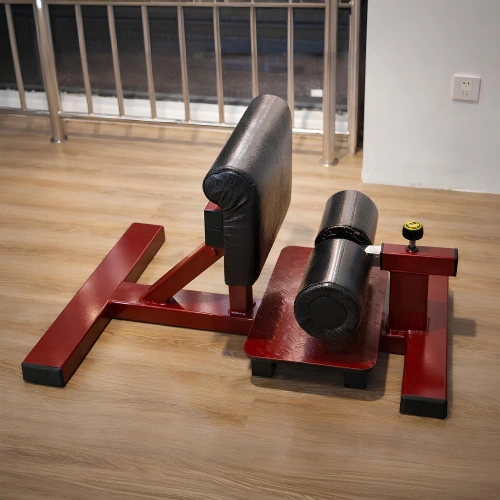 Sissy Squat Machine - RFA | Allenamento Funzionale