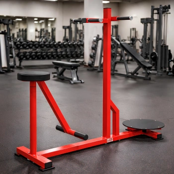 Standing and Sitting Twister - RFA | Functional Training - Full View of the Equipment 2