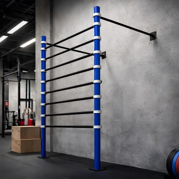 Calisthenics Backrest Structure - D100 | Adjustable | Professional - Full View Tool 2