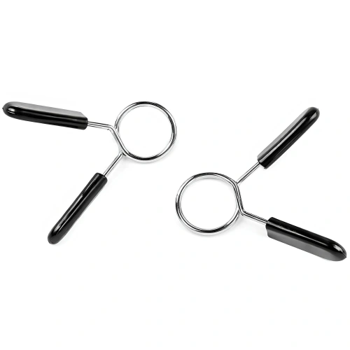 Paar Scheibenclips – Federn 25 mm | Schmetterlingsverschluss – Foto von oben