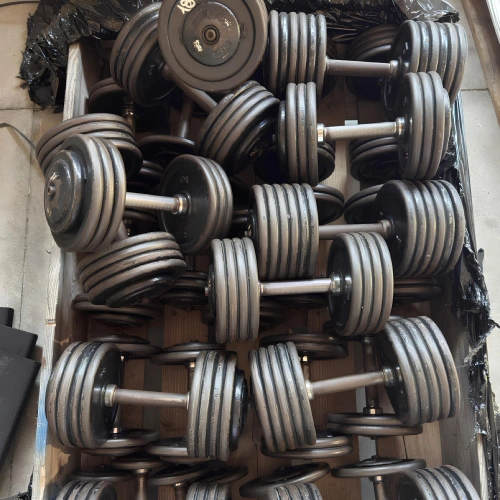 Kit di Manubri da Palestra in Ferro - Usati | Tot 708 Kg - Visuale Completa