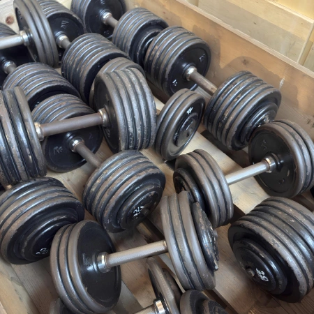 Iron Gym Hantel-Set – Gebraucht | Tot 708 kg – Seitenansicht