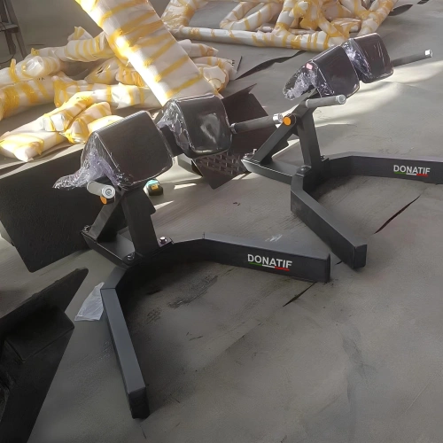 Back Extension Personalizzabile - FMT |...