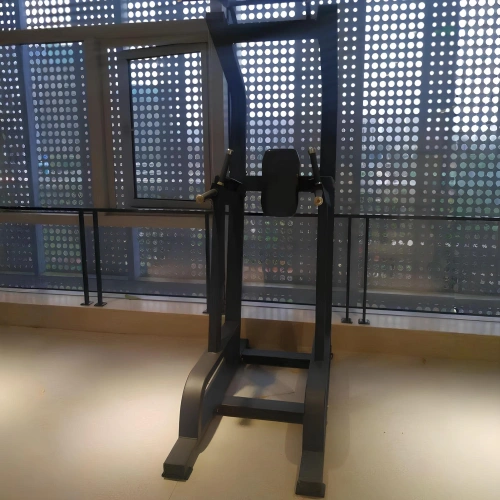 Dip & Leg Raise Station - FMT | Maßgefertigt – Zimmeransicht