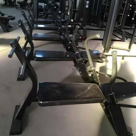 Abdominal Crunch Machine - FMT | Professionale