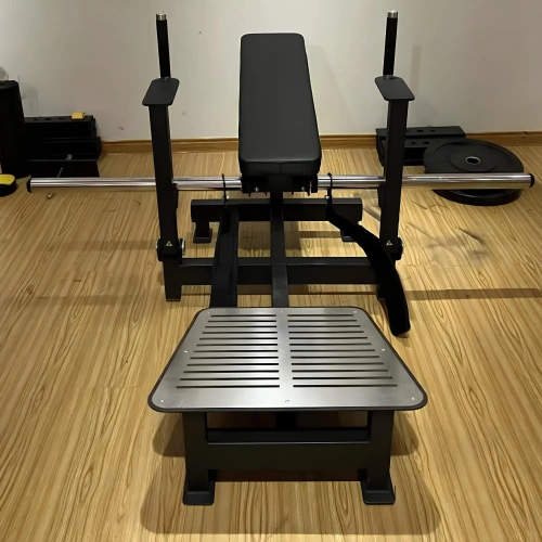 Professionelle Glute-Bridge-Maschine – FMT | Anpassbar – Raumansicht