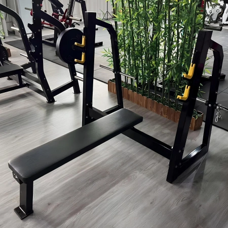 Olympic Flat Bench - Powerlifting | Professional - Room View
