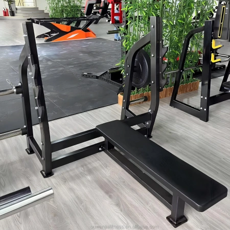 Olympic Flat Bench - Powerlifting | Professional - Top View