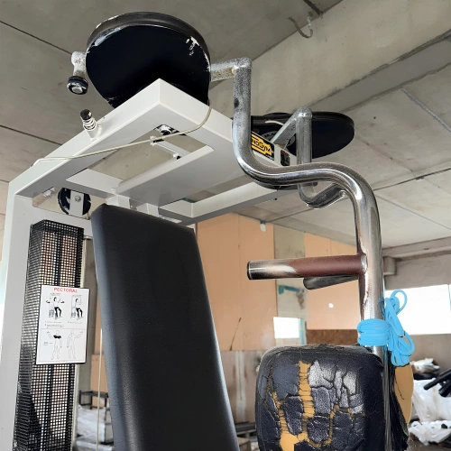 Pectoral Machine Technogym | Seconda Mano