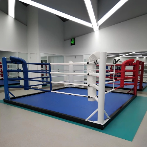 Ring de boxe - Boxe au sol avec logo du client - Utilisation