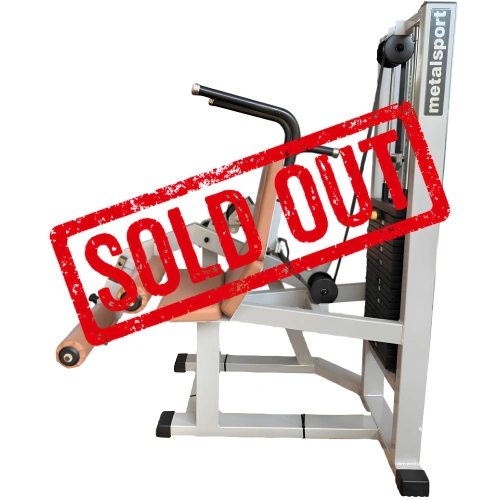 Leg Extension - METALSPORT | Seconda Mano