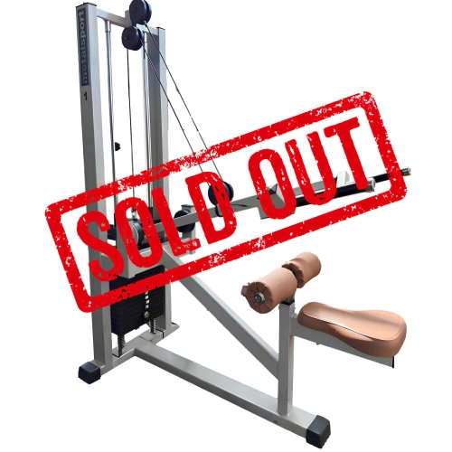 Machine à presser les triceps - METALSPORT | Occasion