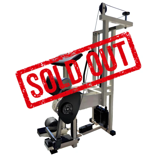 Standing Leg Curl for the Gym - TechnoGym | Second Hand - Sold Out