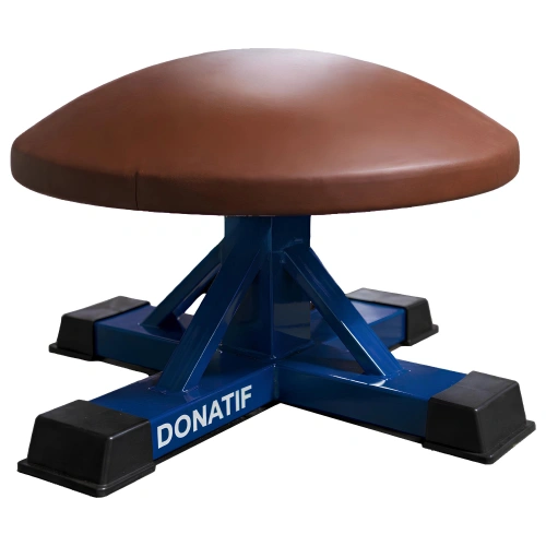 Mushroom Artistic Gymnastics - GA17 | Professional - Full View