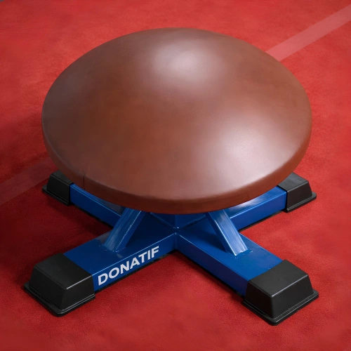 Mushroom Artistic Gymnastics - GA17 | Professional - Top View