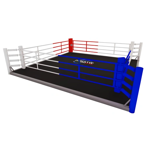 Boxring - Boden Boxen | mit Logo Donatif - Nahaufnahme