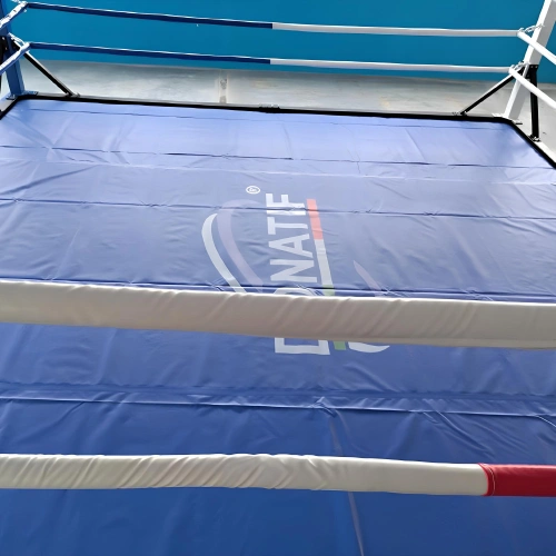 Ring da Boxe - Pugilato a Terra | con Logo Donatif - Visuale Ravvicinata
