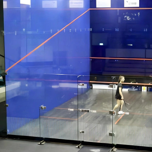 Double Court de Squash - PLB10 | Professional - Momentum visuel du jeu