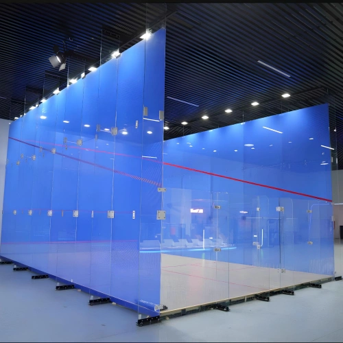 Double Squash Court - PLB10 | Professional - Full View Custom Court