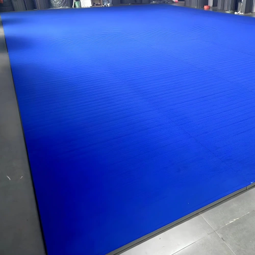 MMA Roll Out Mat - RO10 | Combat Sports - Vista de cerca