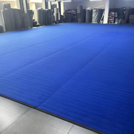 MMA Roll Out Matte - RO10 | Combat Sports - Blick in den Raum