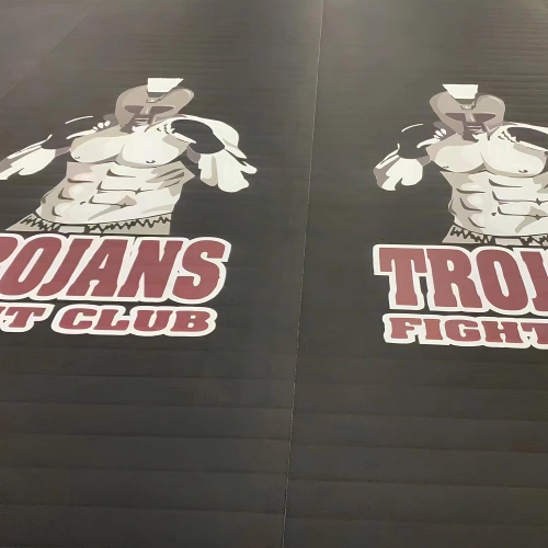 MMA Roll Out Mat - RO10 | Combat Sports - Visual Logo