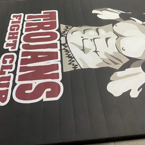 MMA Roll Out Mat - RO10 | Combat Sports - Logotipo