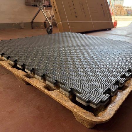 Tatami Palestra Danneggiato - Varie Misure | Professionale - Foto Reale