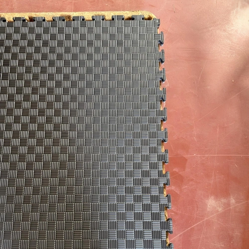 Tatami Palestra Danneggiato - Varie Misure | Professionale - Foto Uso