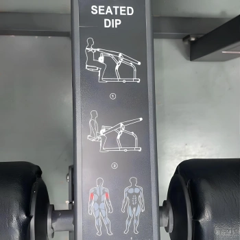 Seated Dip Pure Strength – Profi-Modell | Gebraucht – Abbildung: Ausverkauft 2