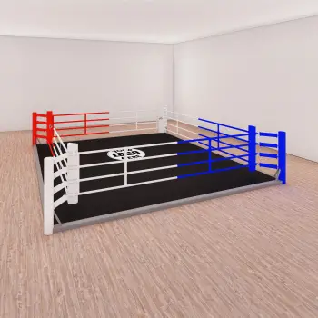 Ring de boxe - Boxe au sol | Dimensions : 3 x 3 m - Vue d'ensemble 2