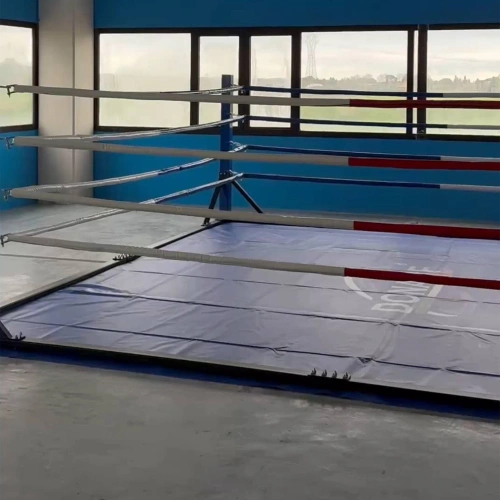 Ring de boxe - Boxe au sol | Dimensions : 3 x 3 m - Vue rapprochée du ring réel