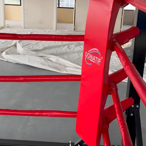 Boxing Ring - Floor Boxing | Size: 3x3 meters - Actual Logo Image