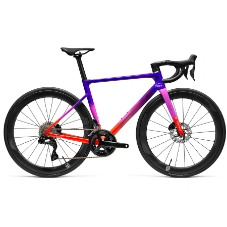 Bicicletta Ciclismo Strada in Carbonio - BT38 | Professionale - Visuale Completa